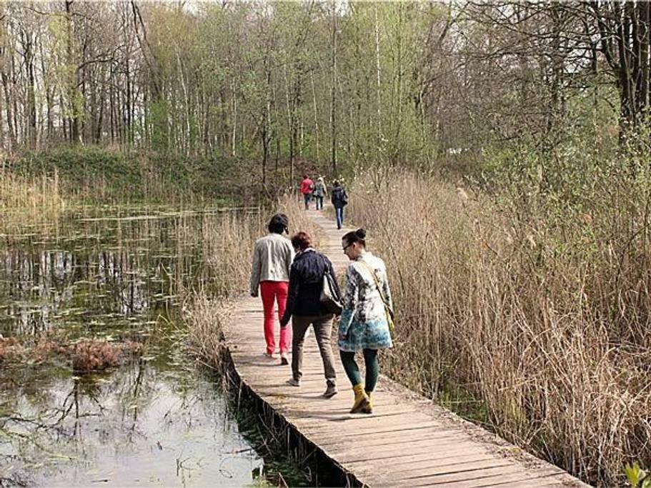 Villa Kempen-Broek Weert Exteriér fotografie